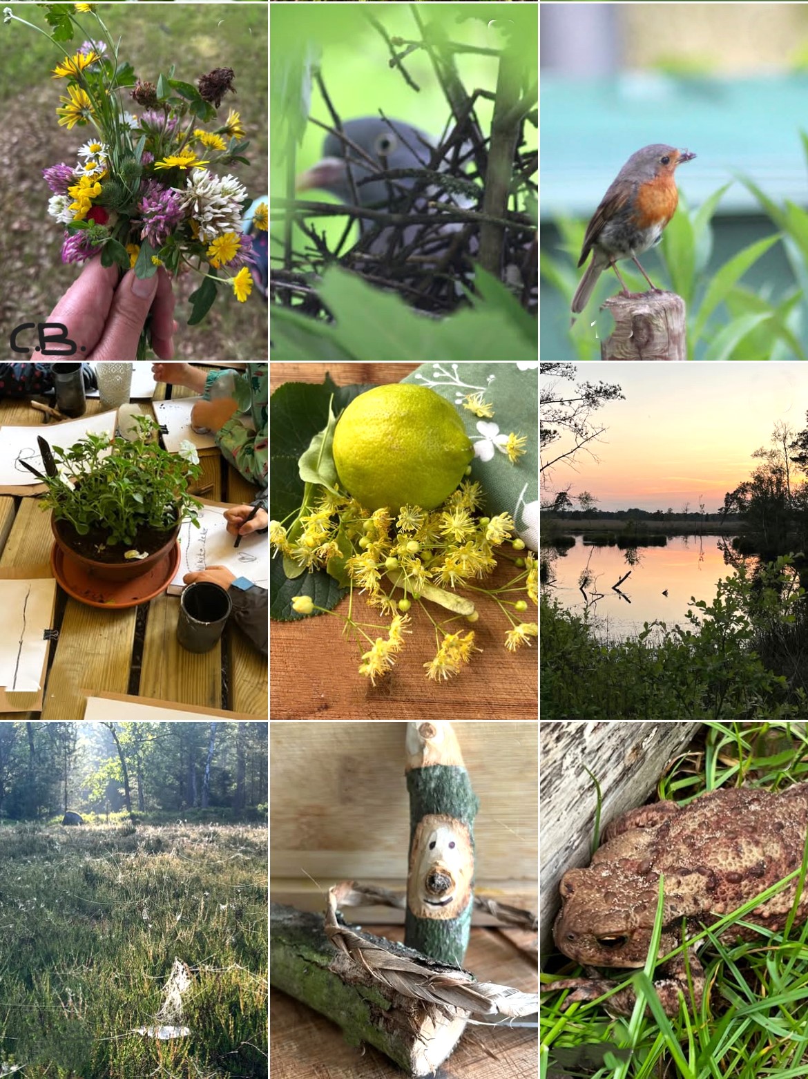 Instagram